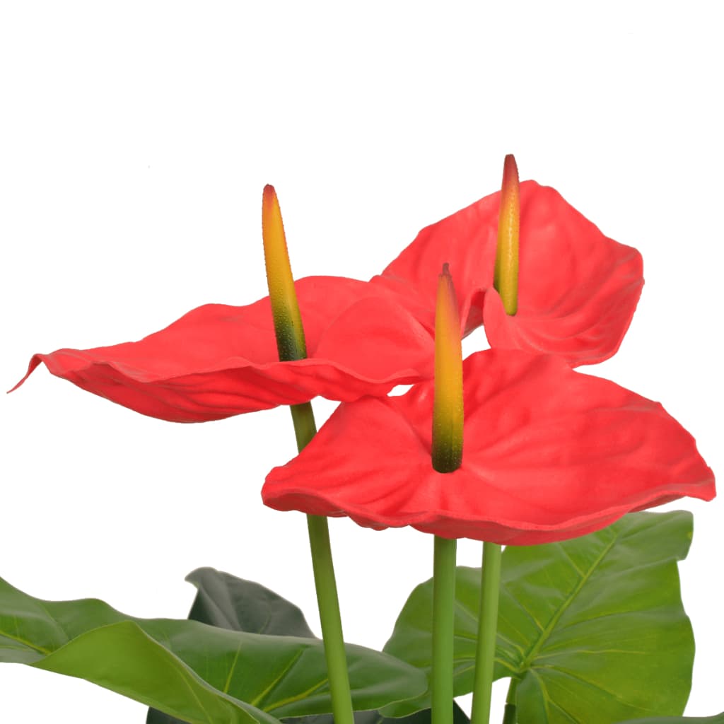 Konstväxt Flamingoblomma med kruka 90 cm röd och gul