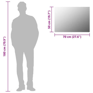 Spegel utan ram 70x50 cm glas