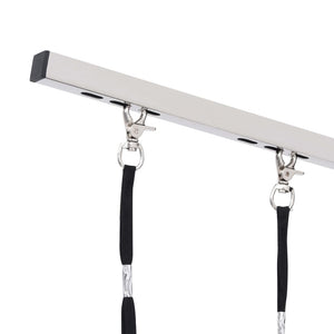 Trimbord för hundar med 2 koppel och korg