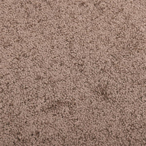 Dörrmatta brun 60x80 cm