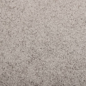 Dörrmatta grå 40x60 cm