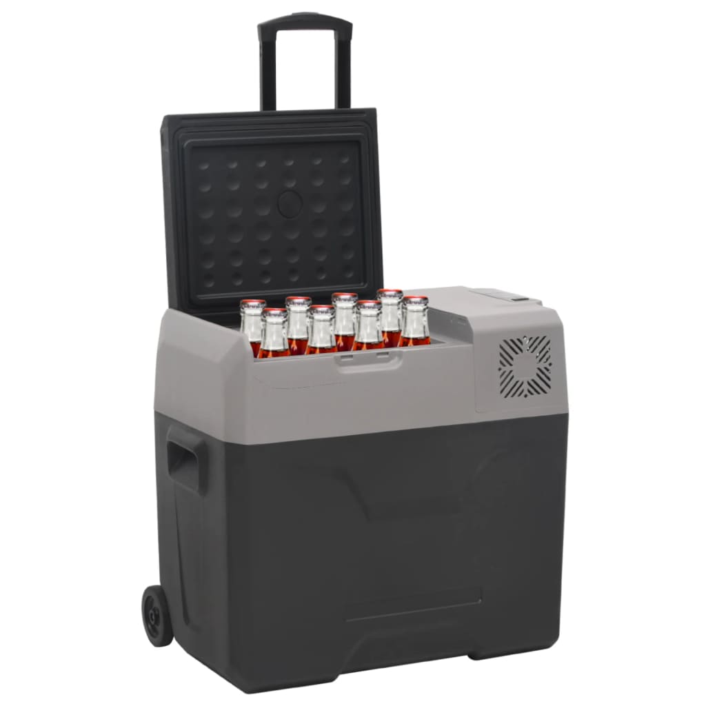 Kylbox med hjul och adapter 30 L svart & grå polypropylen