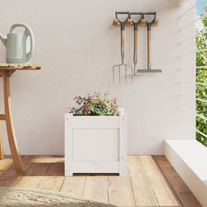 Odlingslåda vit 31x31x31 cm massiv furu