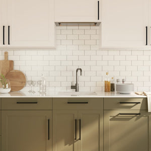 Skåphandtag 20 st svart 224 mm rostfritt stål