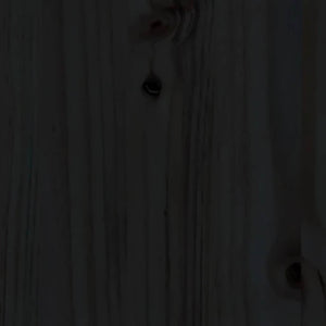 Dagbädd svart 80x200 cm massiv furu
