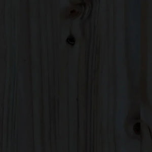 Dagbädd svart 90x200 cm massiv furu