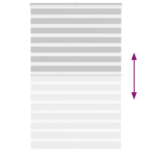 Rullgardin zebra ljusgrå 140x230 cm tyg bredd 135,9cm polyester