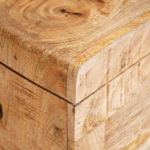 Förvaringslåda med lagring med dörr Brun Massivt mangoträ