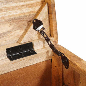 Förvaringslåda med lagring med dörr Brun Massivt mangoträ