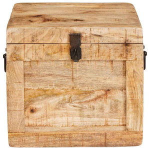 Förvaringslåda med lagring med dörr Brun Massivt mangoträ