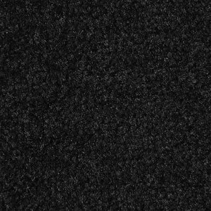 Dörrmatta svart 40x60 cm