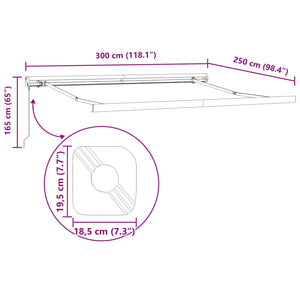 Utfällbar markis Röd 300 x 250 cm Tyg och Metall