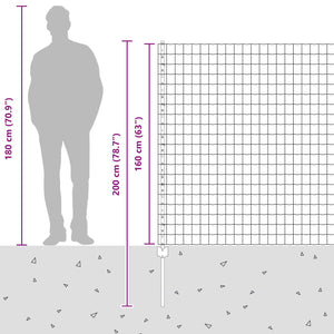 Stängsel med stolpe Silver 1,6 x 10 m Stål