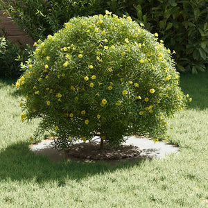 lämplig för Flat trädring Vit Ø30 / 60 cm Stål