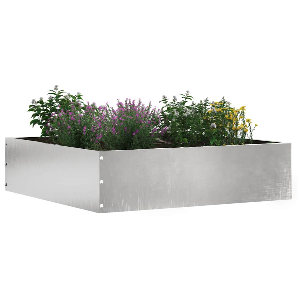 Kant för gräsmatta 50 x 50 x 13 cm Rostfritt stål Silver