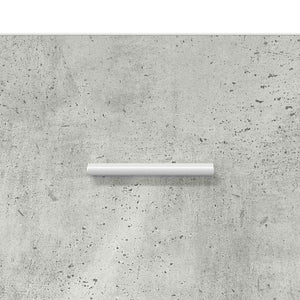 Diskbänksskåp med lagring med dörr Betonggrå Konstruerat trä