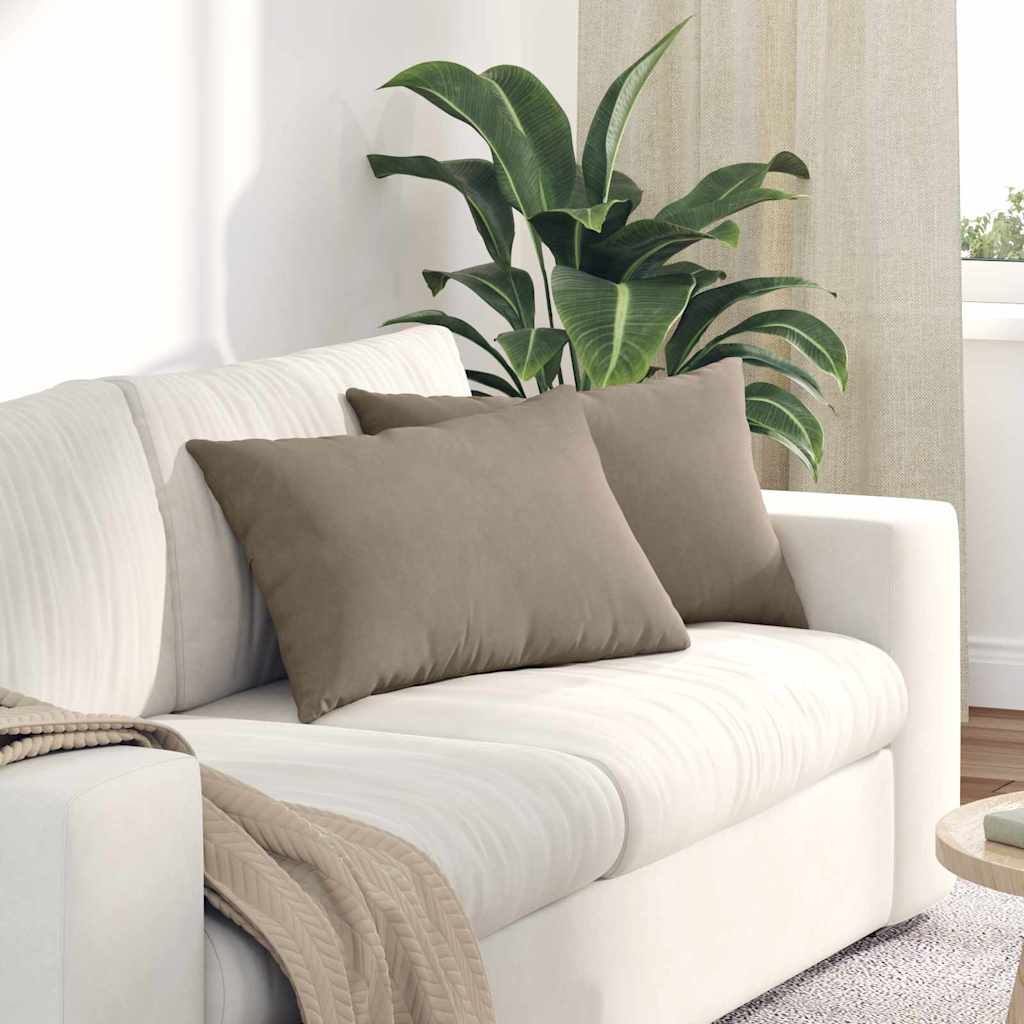 Sofakuddar 2 st tyg Taupe 60 x 40 cm