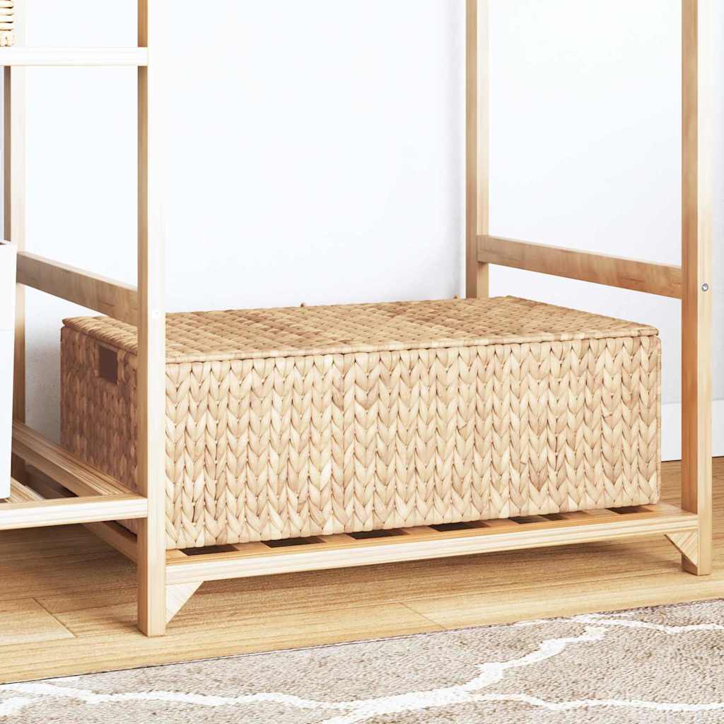 Förvaringslåda Naturfärg 60 x 38 x 20 cm Vattenhyacint