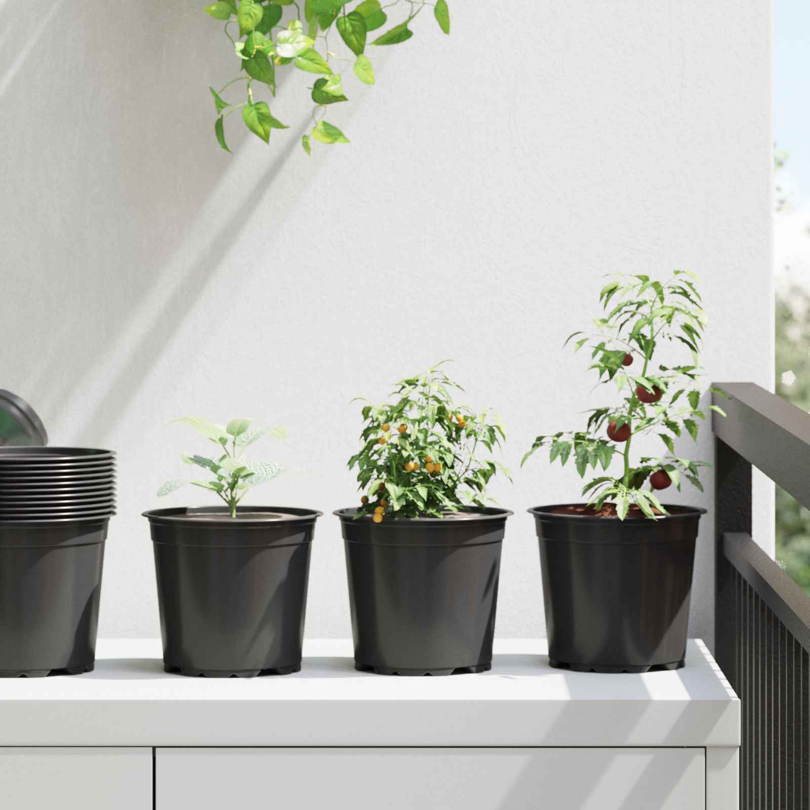 Blomkruka 200 pcs Svart Ø 15 x 13 cm Plast