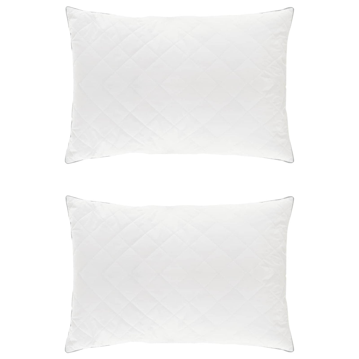 Kudde FULDA 2 st 30 x 50 cm 100% Gåsdun och fjädrar Vit