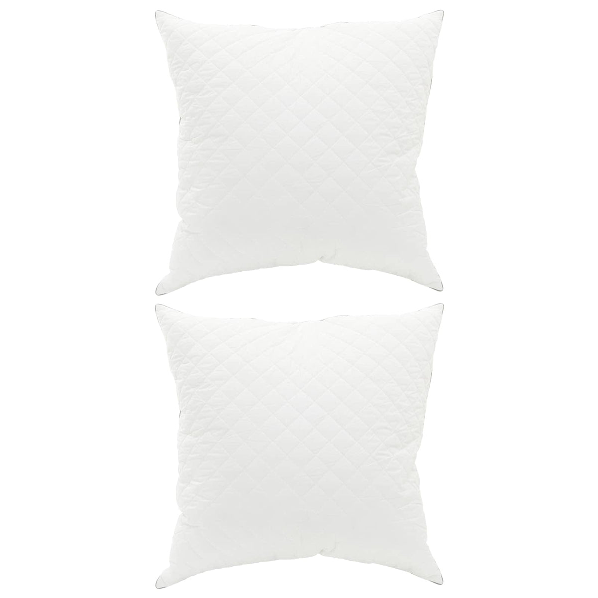 Kudde FULDA 2 st 40 x 40 cm 100% Gåsdun och fjädrar Vit