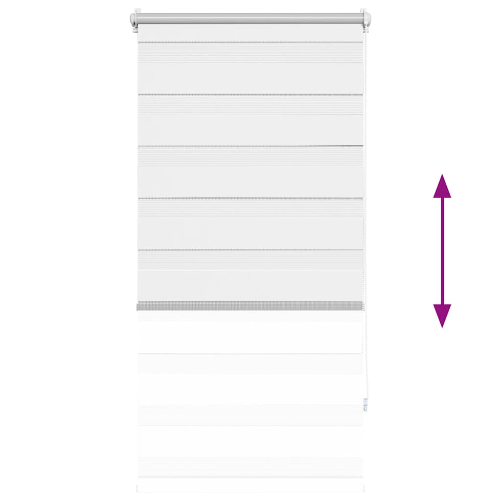 Rullgardin randig vit 60 x 100 cm transparent