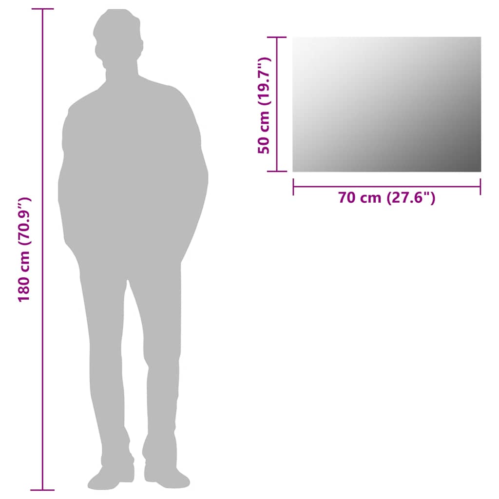 Spegel utan ram 70x50 cm glas