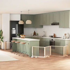 Hundgrind med dörr vikbar 10 paneler 800 cm poppel