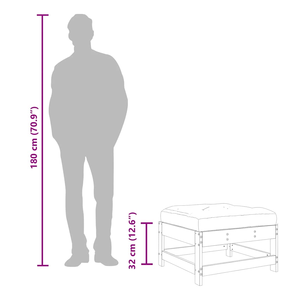 Fotpallar med dynor för trädgården 2 st honungsbrun massiv furu