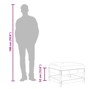 Fotpallar med dynor för trädgården 2 st honungsbrun massiv furu