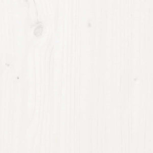 Bordsskiva vit 80x40x2,5 cm oval massiv furu