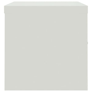 Dokumentskåp ljusgrå 90x40x40 cm stål