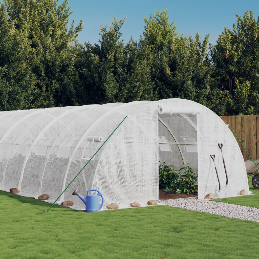 Växthus med stålram vit 24 m² 6x4x2 m