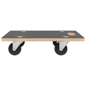 Transportplattor 2 st rektangulär 50x35x11,5 cm 250 kg