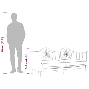 Soffa med kuddar 2-sits svart sammet