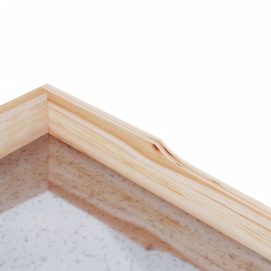 Växtbord med hylla 78x38x82,5 cm massivt granträ