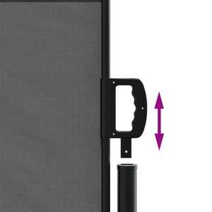 Utdragbar sidomarkis antracit 100x300 cm