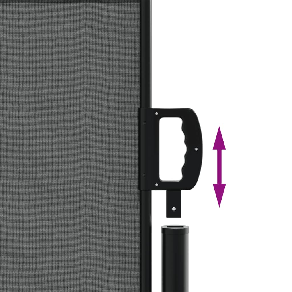 Utdragbar sidomarkis antracit 117x300 cm