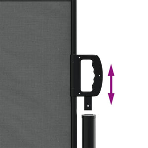 Utdragbar sidomarkis antracit 117x300 cm