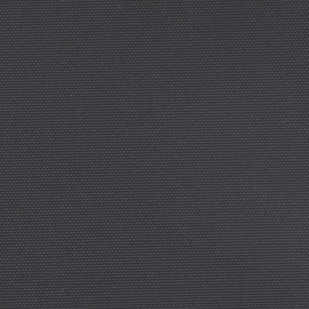 Indragbar sidomarkis svart 160x300 cm