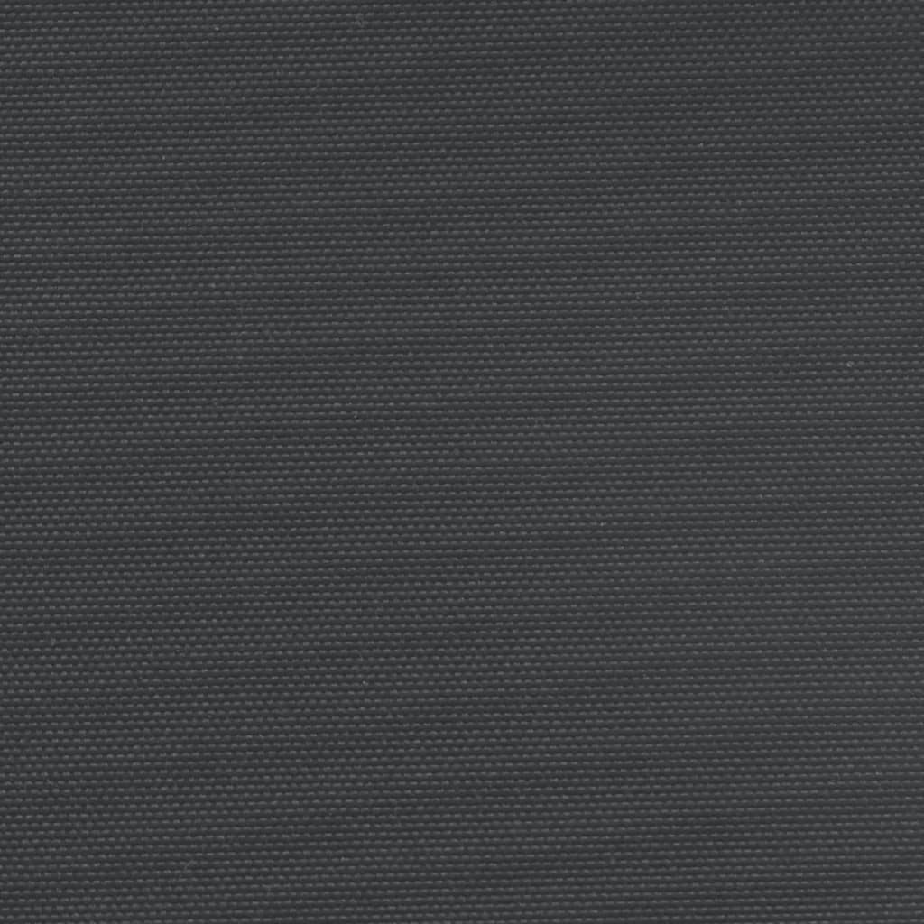 Infällbar sidomarkis svart 100x600 cm