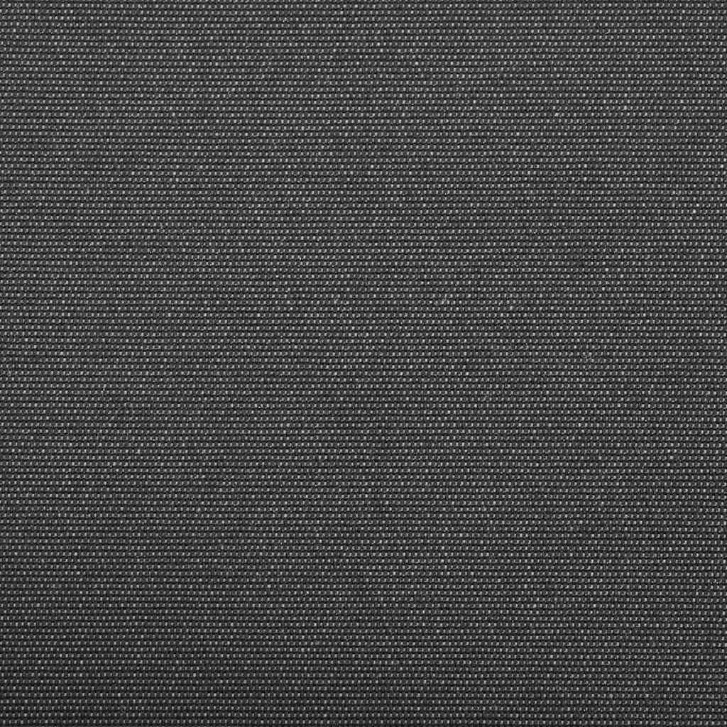 Markisbyte Antracit 1000 x 160 cm Polyesterduk
