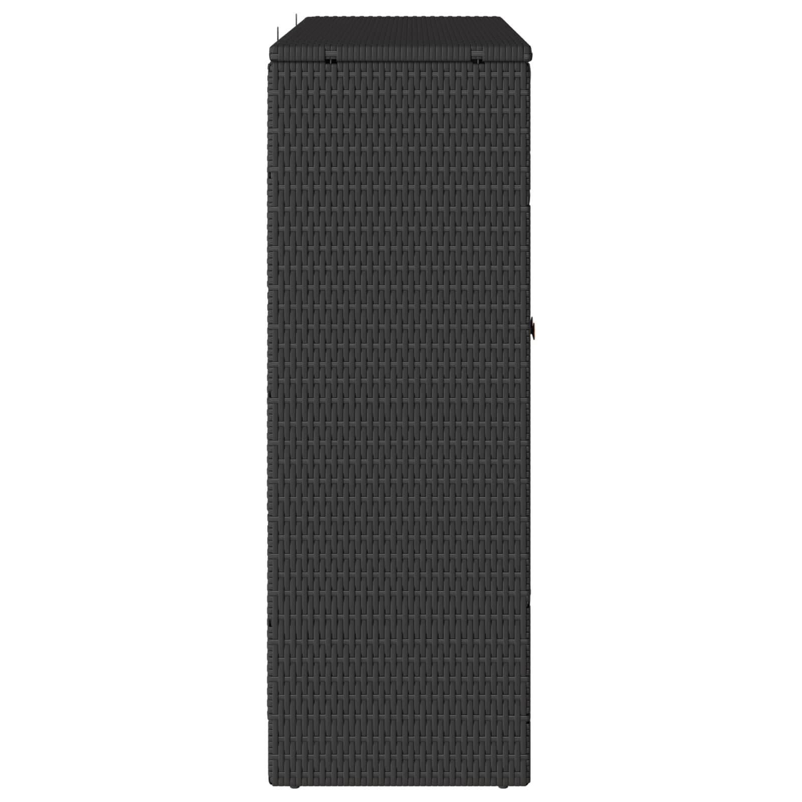 Förvaringsskåp med hylla Svart 100 x 36 x 102 cm Rotting