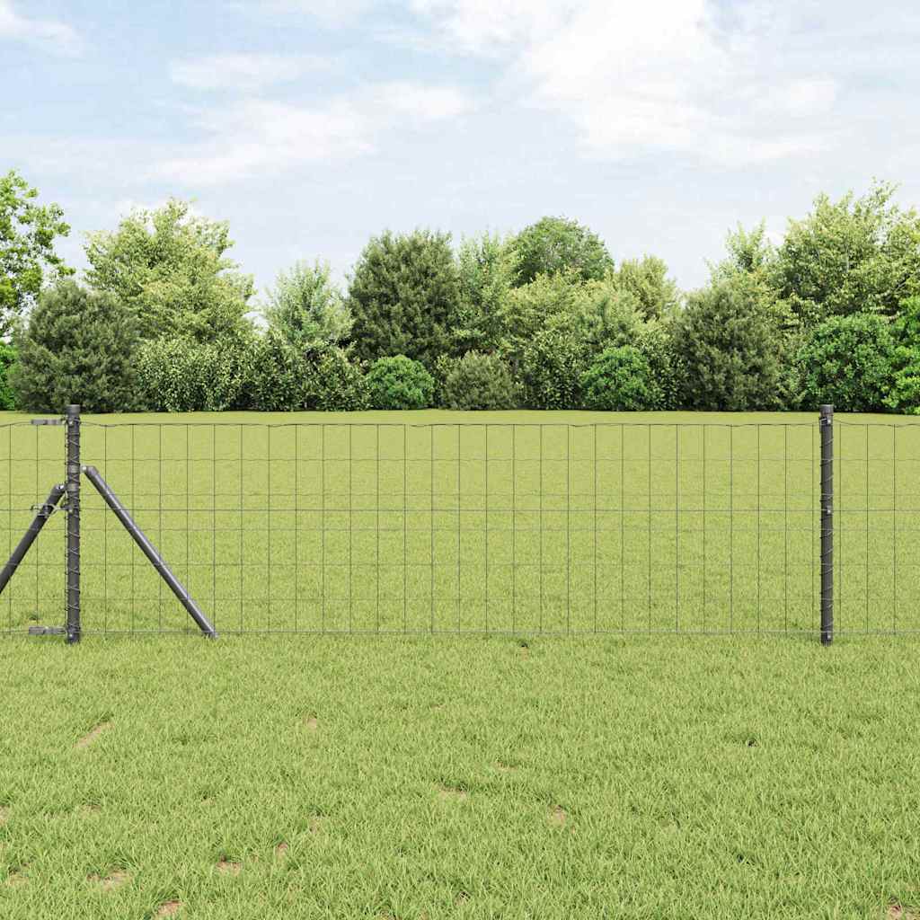Eurogärdsel 0,8 x 25 m PVC-belagt järn Grå