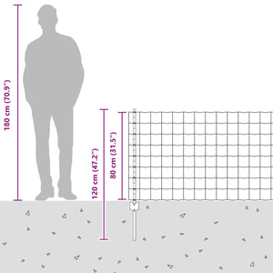 Stängsel med stolpe Silver 0,8 x 10 m Stål