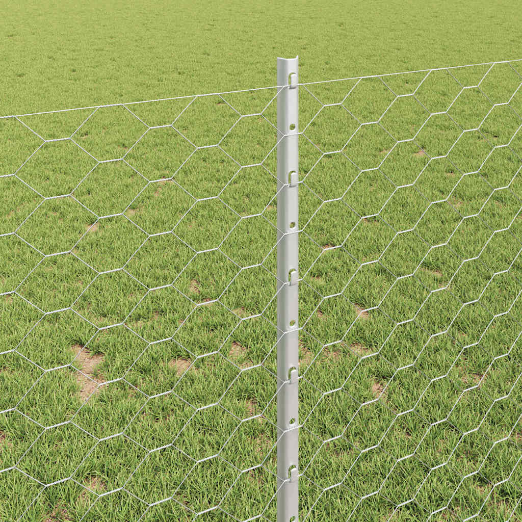 Stängsel med stolpe Silver 1 x 10 m Stål