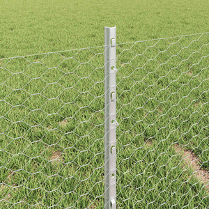 Stängsel med stolpe Silver 0,4 x 25 m Stål