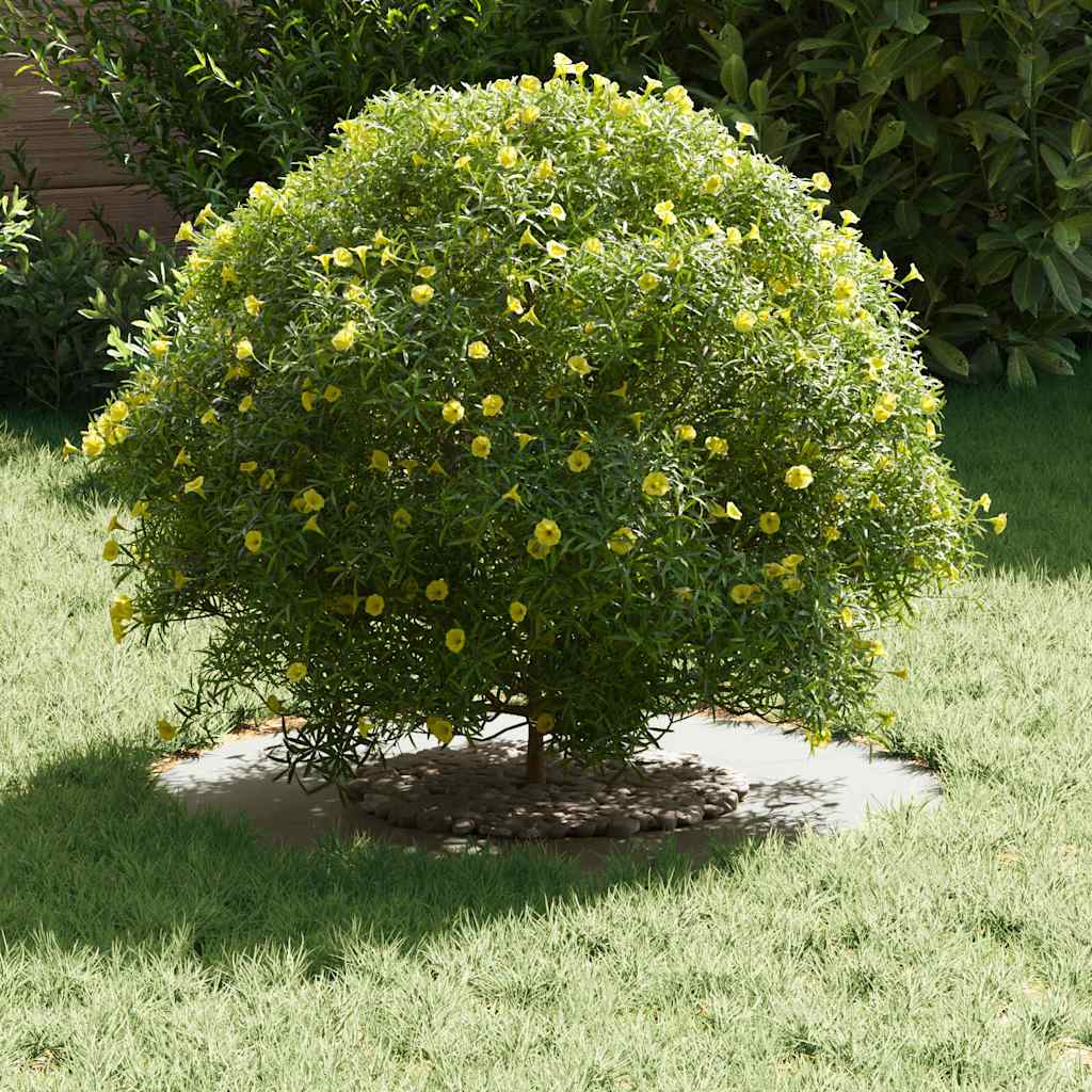 lämplig för Flat trädring Vit Ø30 / 60 cm Stål