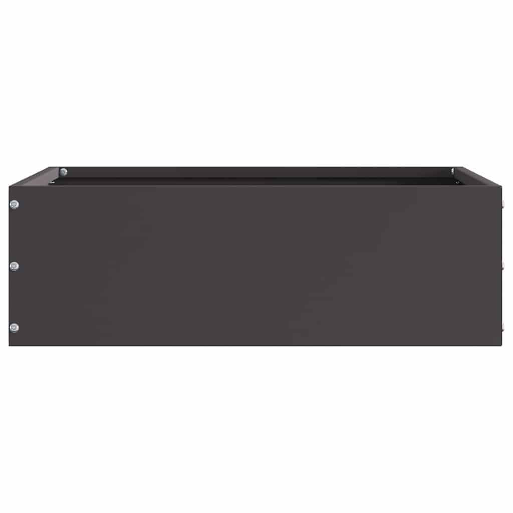 Kant för gräsmatta Svart 40 x 40 x 13 cm Stål