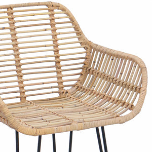 Barstol 2 pcs Naturfärg 55 x 52 x 105 cm Rattan och Järn